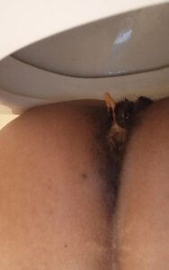 Free Scat Porn