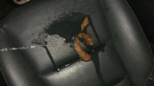 Free Scat Porn