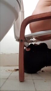 Free Scat Porn
