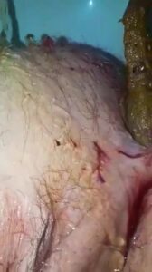 Free Scat Porn