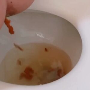 Free Scat Porn