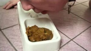 Free Scat Porn