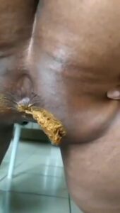 Free Scat Porn