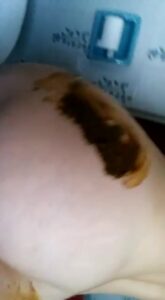 Free Scat Porn