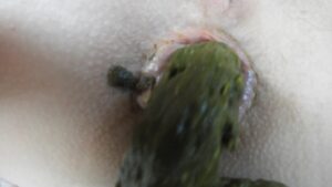 Free Scat Porn