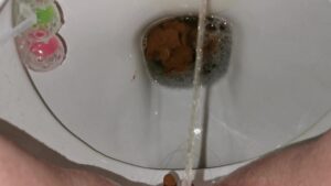 Free Scat Porn