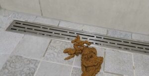 Free Scat Porn