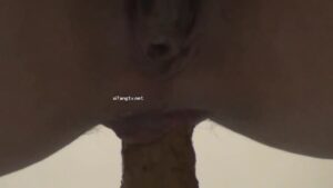 Free Scat Porn