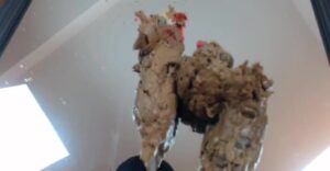 Free Scat Porn