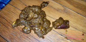 Free Scat Porn