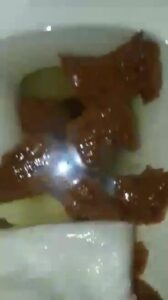 Free Scat Porn
