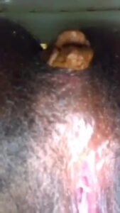 Free Scat Porn