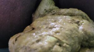 Free Scat Porn