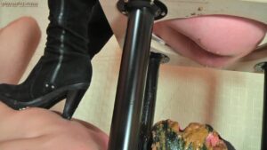 Free Scat Porn