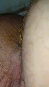 Free Scat Porn