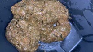 Free Scat Porn