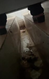 Free Scat Porn