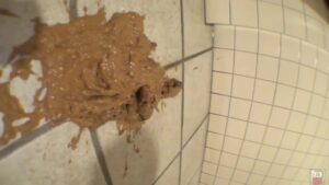 Free Scat Porn