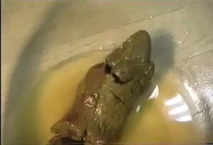 Free Scat Porn