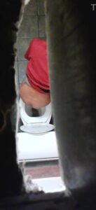 Free Scat Porn