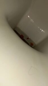 Free Scat Porn
