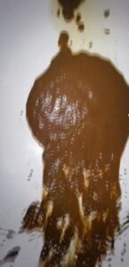 Free Scat Porn