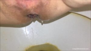 Free Scat Porn