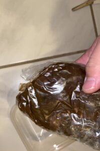Free Scat Porn