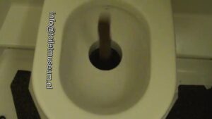 Free Scat Porn