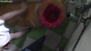 Free Scat Porn