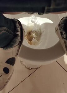 Free Scat Porn