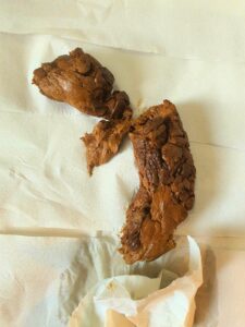 Free Scat Porn