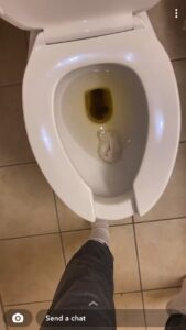 Free Scat Porn