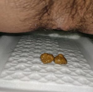 Free Scat Porn