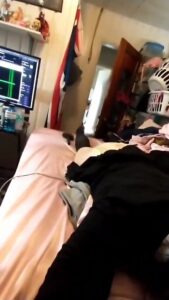 Free Scat Porn