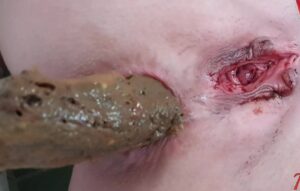 Free Scat Porn