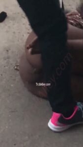 Free Scat Porn