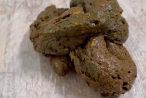 Free Scat Porn
