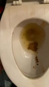 Free Scat Porn