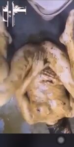 Free Scat Porn