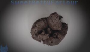 Free Scat Porn