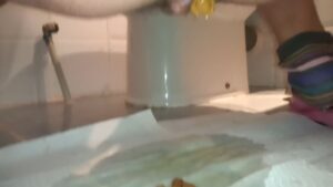 Free Scat Porn