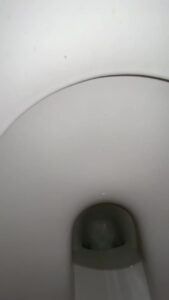 Free Scat Porn