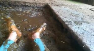Free Scat Porn