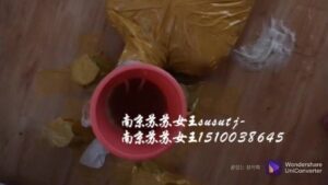 Free Scat Porn