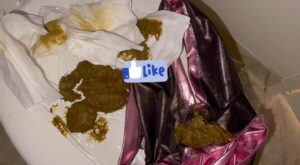 Free Scat Porn