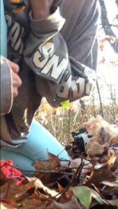 Free Scat Porn