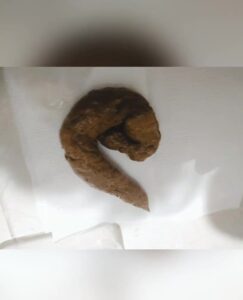 Free Scat Porn