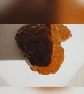 Free Scat Porn