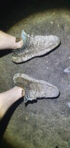 Free Scat Porn